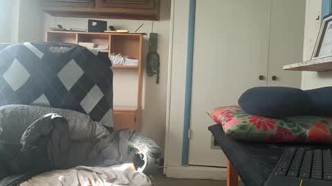 Snapshot of chuck7891 chatting on October 2025 02:50:02 PM chuck7891 online show from October 2025 02:50:02 PM