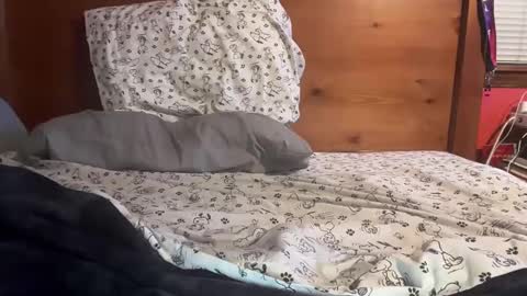 Snapshot of cjallday1424 chatting on March 2025 03:41:01 AM cjallday1424 online show from March 2025 03:41:01 AM