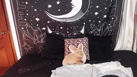 Cloe  online show from January 2025 02:15:02 AM
