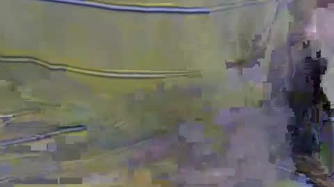 Snapshot of cockreadynow4u chatting on October 2025 05:08:02 AM cockreadynow4u online show from October 2025 05:08:02 AM