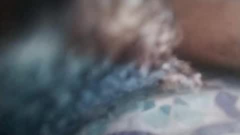 Snapshot of cojroymnamqm chatting on November 2025 05:13:01 PM cojroymnamqm online show from November 2025 05:13:01 PM