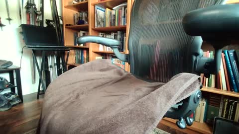 colchuck online show from February 2025 09:48:01 PM