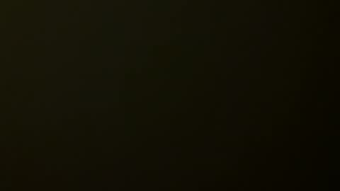 Allie online show from January 2025 06:50:02 AM