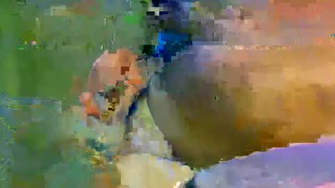 Snapshot of colourlight chatting on November 2025 11:47:02 PM colourlight online show from November 2025 11:47:02 PM