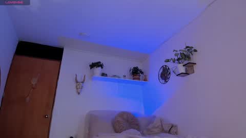 connie    online show from January 2025 01:53:01 PM