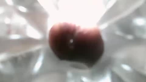 bearded hairy pits big brown cock online show from December 2024 10:17:01 PM