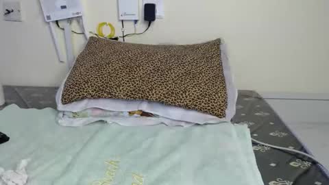 cooldivaa online show from September 2025 10:37:01 AM