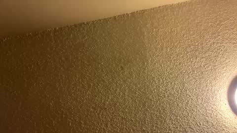 Snapshot of couplebroad_ chatting on March 2025 06:48:02 AM couplebroad_ online show from March 2025 06:48:02 AM