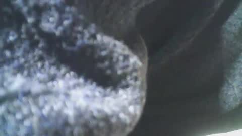 cplmature87 online show from February 2025 11:10:02 PM