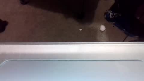 craveitoften online show from January 2025 01:11:02 AM