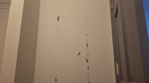 creamymilf11 online show from September 2025 05:29:02 PM