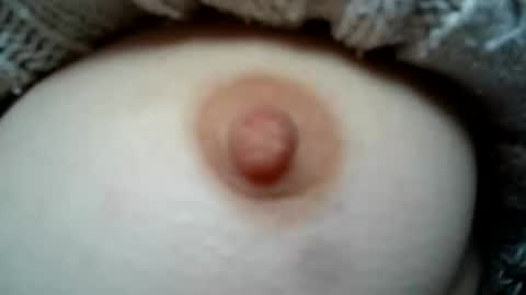 cremina online show from December 2024 10:56:01 AM