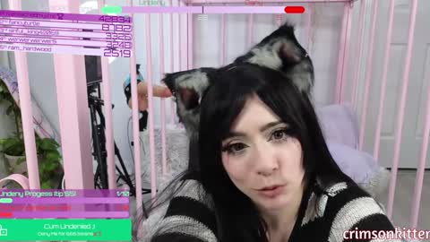 Crimson Kitten online show from January 2025 11:11:01 AM