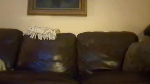 cubforotter online show from October 2025 10:16:02 AM