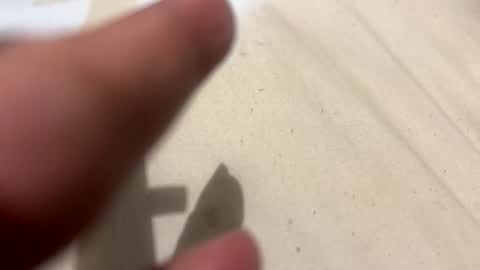 im KIM new girl to spoil online show from October 2025 02:51:02 PM