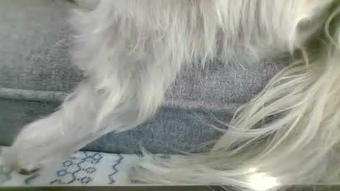 cumfestlover online show from September 2025 11:26:02 PM