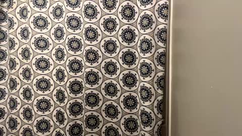 Snapshot of cumking51 chatting on January 2025 12:36:01 AM ConCon online show from January 2025 12:36:01 AM