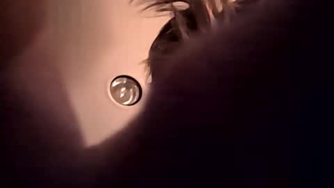 Snapshot of cumupxxx chatting on November 2025 11:49:01 AM cumupxxx online show from November 2025 11:49:01 AM