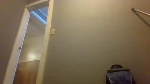 Bash online show from December 2024 05:59:02 AM