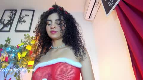 Rose online show from December 2024 11:55:01 PM