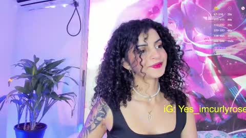 Rose online show from February 2025 08:44:01 PM