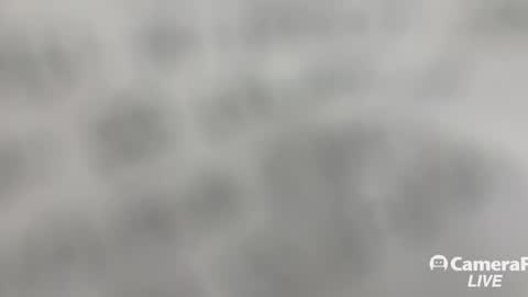 Tommy online show from November 2025 01:24:01 PM