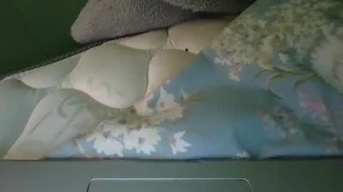 daisnconfusion_ online show from March 2025 07:10:02 PM