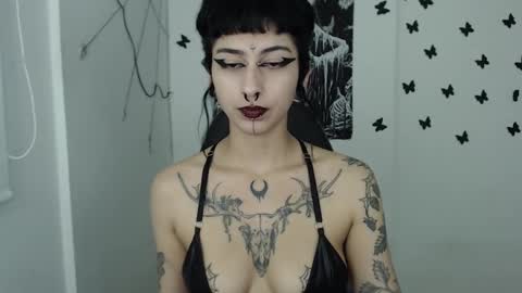 dakota online show from January 2025 07:17:01 AM