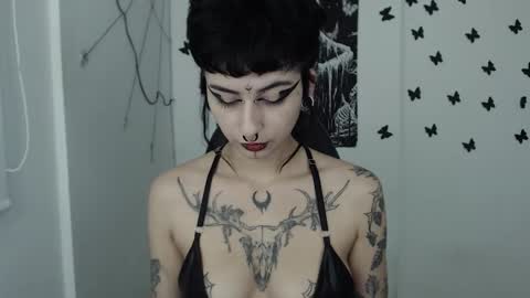 dakota online show from January 2025 08:01:01 AM