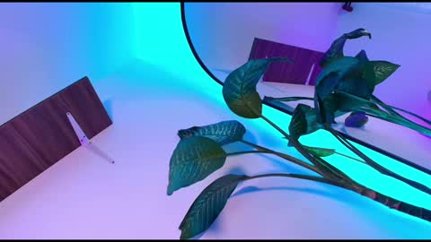 Snapshot of dalila_thoms chatting on November 2025 10:48:01 AM Dalila online show from November 2025 10:48:01 AM