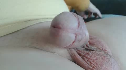 Damocles online show from October 2025 12:49:02 PM