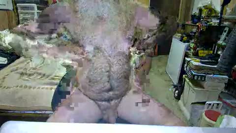 Snapshot of danagm chatting on October 2025 04:42:02 PM Dana online show from October 2025 04:42:02 PM