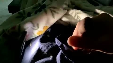 dannyboy621 online show from November 2025 01:53:02 PM