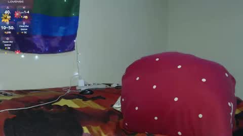 dante_bear online show from March 2025 04:41:02 AM