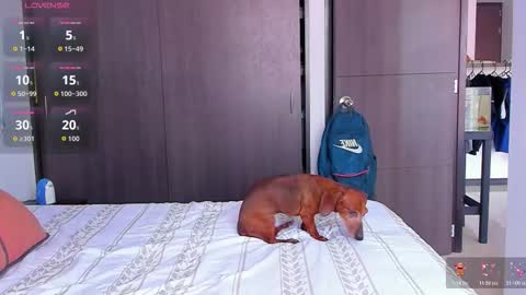 Snapshot of danyfitguy_ chatting on November 2025 05:11:01 PM danyfitguy_ online show from November 2025 05:11:01 PM