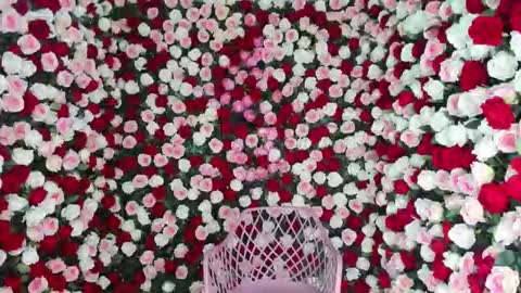 dara_johnson online show from September 2025 12:59:02 PM