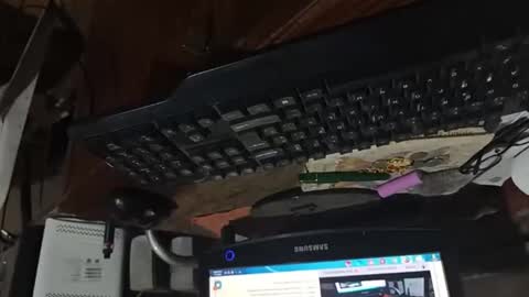 dario48 online show from November 2025 06:47:02 AM