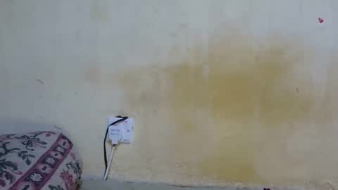 Snapshot of dark_princess1 chatting on October 2025 07:50:01 AM dark_princess1 online show from October 2025 07:50:01 AM