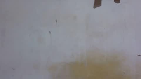 Snapshot of dark_princess1 chatting on November 2025 06:29:01 PM dark_princess1 online show from November 2025 06:29:01 PM