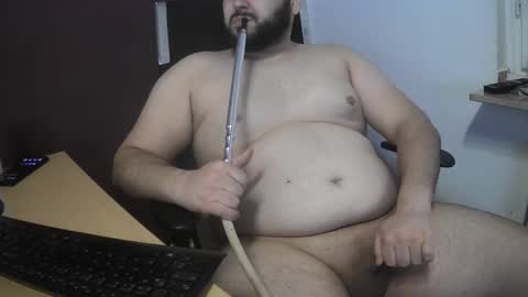 dauergeiil online show from February 2025 03:17:01 PM