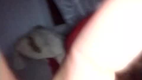 david631128711 online show from November 2025 02:56:01 AM