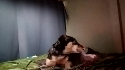 Snapshot of davidjose1995 chatting on December 2024 09:30:02 PM Juice cock online show from December 2024 09:30:02 PM