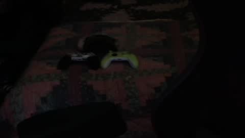 DC online show from September 2025 08:36:02 PM