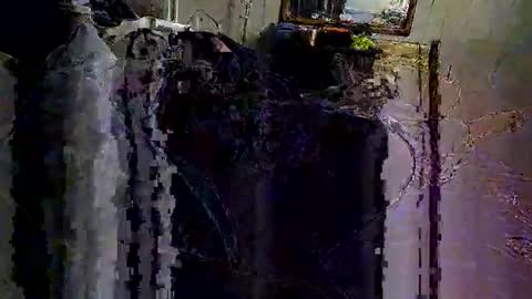 Snapshot of decoyx5o5 chatting on February 2025 06:40:01 AM decoyx5o5 online show from February 2025 06:40:01 AM