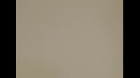 Deelightfull online show from February 2025 01:19:01 PM