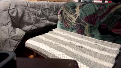 deknaux online show from February 2025 05:05:02 PM