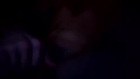 deknaux online show from October 2025 11:00:02 AM