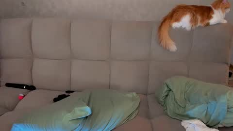 Snapshot of dementra chatting on March 2025 02:55:02 AM Victoria and Nara twitterinstagram dementra rawrr online show from March 2025 02:55:02 AM