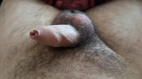 Snapshot of denis647 chatting on September 2025 12:05:02 PM LilRoach online show from September 2025 12:05:02 PM