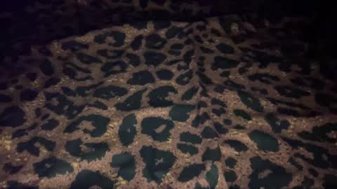 Snapshot of derek829099 chatting on October 2025 07:06:01 AM derek829099 online show from October 2025 07:06:01 AM